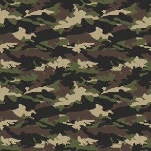 (med scale) C2 - camouflage  C23