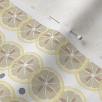 Arty Aki Lemons