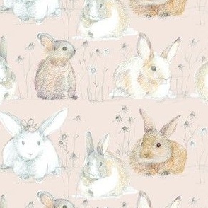 bunny taupe