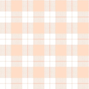 Modern check in Peach - Small scsle