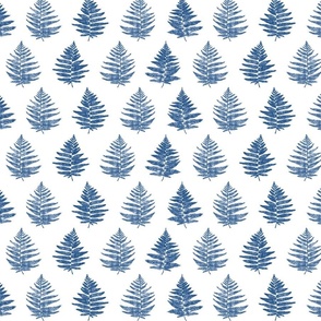 (MEDIUM) Ferns of the Pacific Northwest in Shibori Style