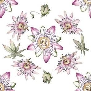 Hand painted watercolour passion flower, spring flowers, white background 