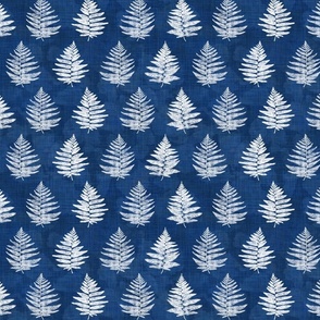 (MEDIUM) Ferns of the Pacific Northwest in Shibori Style inverted