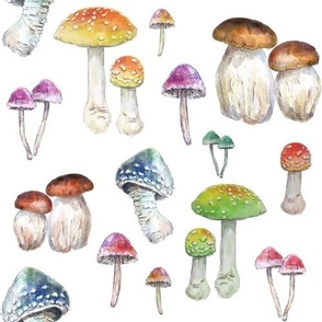  Watercolor mushrooms