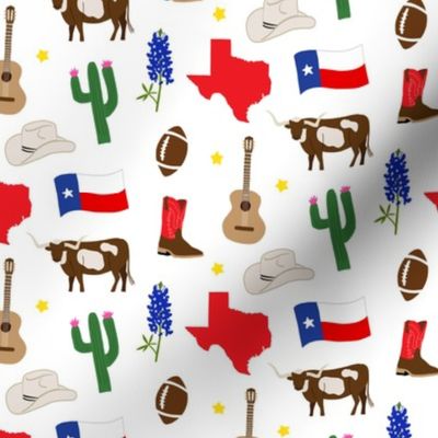 Texas Icons SMALL
