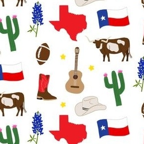 Texas Icons SMALL