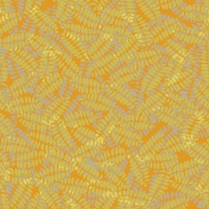 pinnate-leaves_yellow_marigold