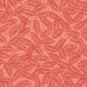 pinnate-leaves_terra-coral