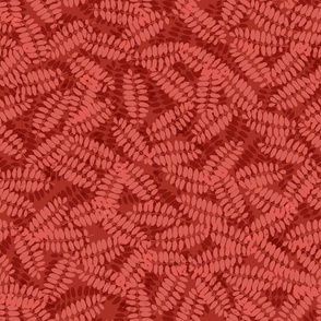 pinnate-leaves_coral_red