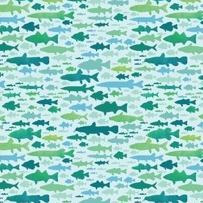 blue green school of fish