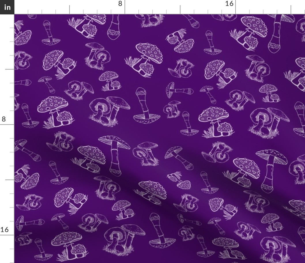 Mushrooms and Toadstools on bright purple background
