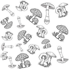 Mushrooms and Toadstools in black and white