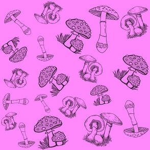 Mushrooms and Toadstools on a Pink Background