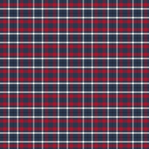 Navy, Charcoal and Red Plaid // Small