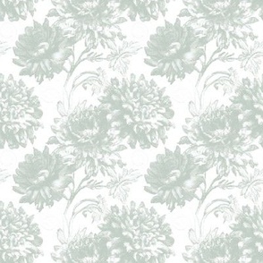 Antique Chrysanthemum Toile in Light Regency Mint - Coordinate