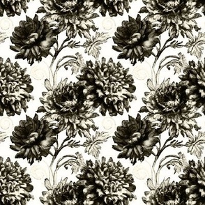 Antique Chrysanthemum Toile in Ivory and Black - Coordinate