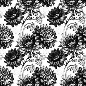 Antique Chrysanthemum Toile in Pure Black and White - Coordinate