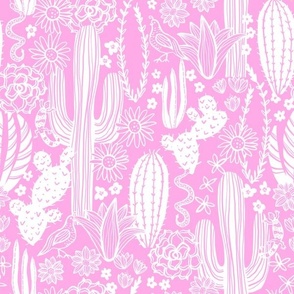 Sonoran Landscape (Pink)