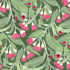 Orange Eucalyptus Flowers - pink and green, small 