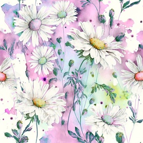 watercolor daisies pink