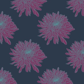 Chrysanthemum Prussian Magenta
