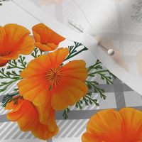 Orange Poppies 