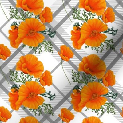 Orange Poppies 