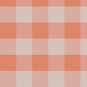 plaid-check_coral_beige