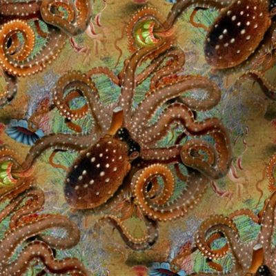 Octopus Garden