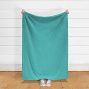 Plain color coordinate, solid bold aqua cyan