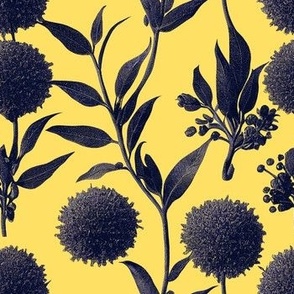 Vintage Botanical Ink Drawing - Yellow