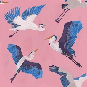 Blue Heron in Pink