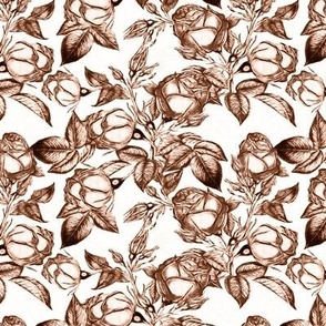 Toile Rose Garden - in Chocolate Brown - Coordinate