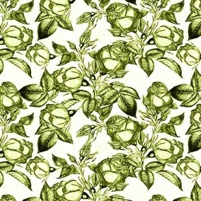 Toile Rose Garden - in Titanite Green - Coordinate