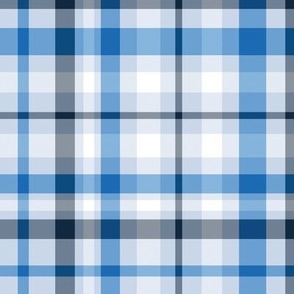 Bright blue and navy blue plaid with white