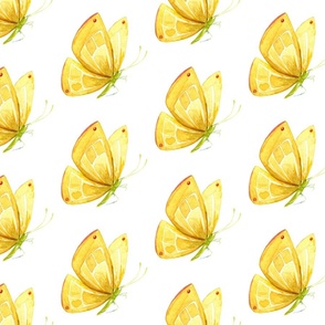 Yellow watercolour butterflies 