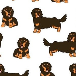 Long-haired Dachshund Dog Pattern Chocolate and Tan