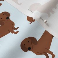 Dachshunds on Pale Blue