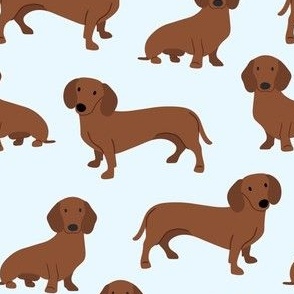 Dachshunds on Pale Blue