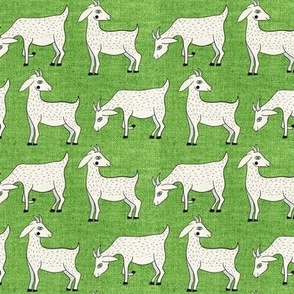 Small, Rows of Goats on Green