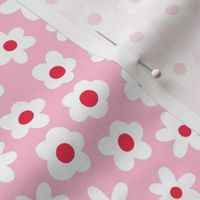 flower blossoms on pastel pink LG - valentines day collection