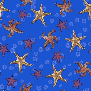 Starfish