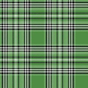 royal stewart tartan green - st patricks day collection