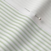 light green ticking stripe 