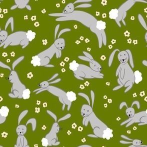 Year of the rabbit on olive