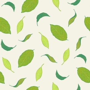Leafy Green Citrus Leaves