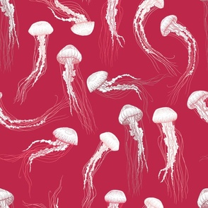 Jellyfish - Magenta