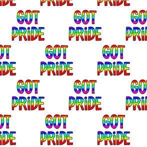 LGBTQ Rainbow Got Pride