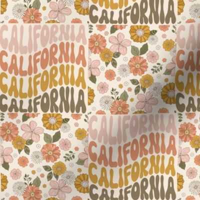 60s retro California hippies state