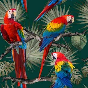 Scarlet Macaw Brilliant Tropical Jungle Birds